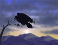 03.12.2012 | Основные характеристики птицы ворона